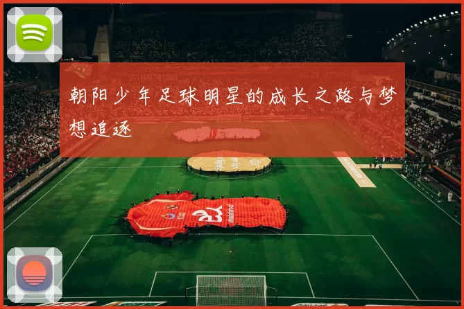 朝阳少年足球明星的成长之路与梦想追逐