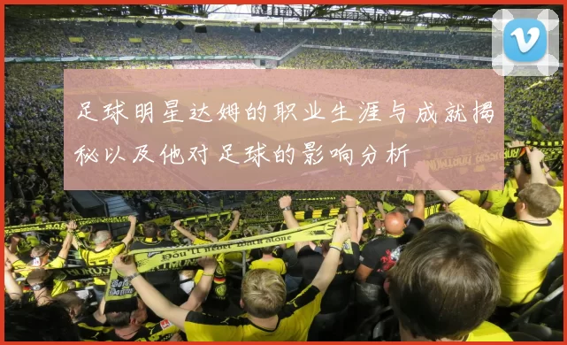 足球明星达姆的职业生涯与成就揭秘以及他对足球的影响分析