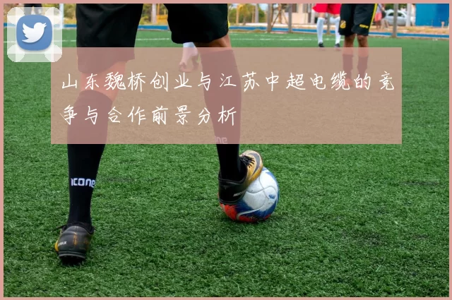 山东魏桥创业与江苏中超电缆的竞争与合作前景分析