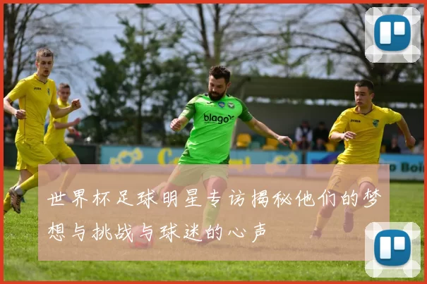 世界杯足球明星专访揭秘他们的梦想与挑战与球迷的心声