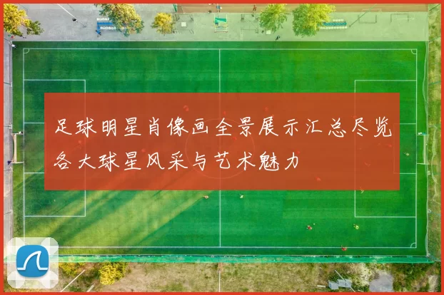 足球明星肖像画全景展示汇总尽览各大球星风采与艺术魅力