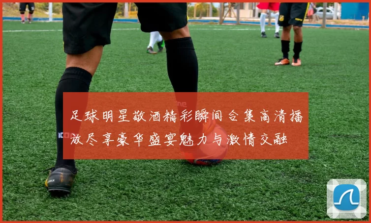 足球明星敬酒精彩瞬间合集高清播放尽享豪华盛宴魅力与激情交融