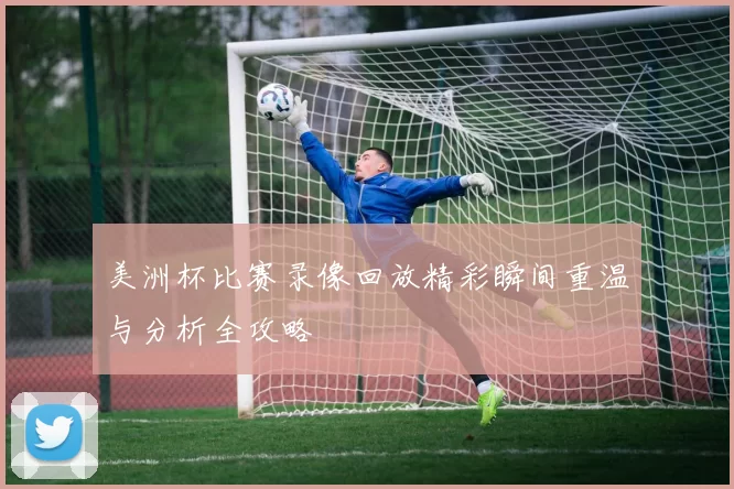 美洲杯比赛录像回放精彩瞬间重温与分析全攻略