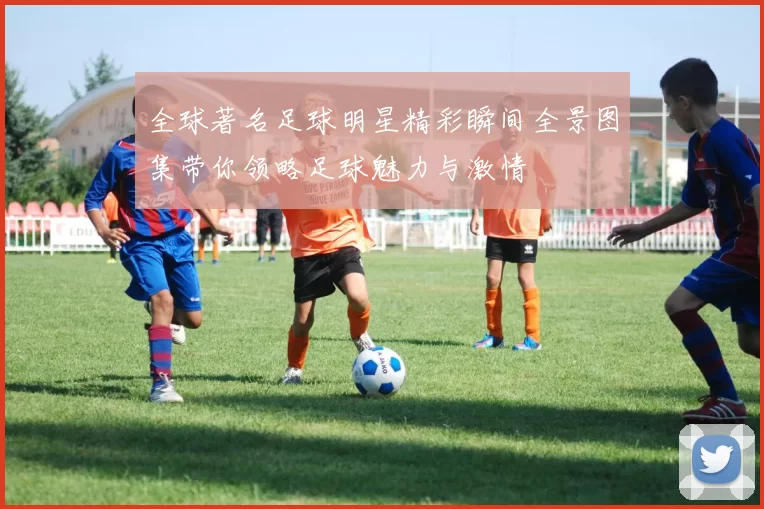 全球著名足球明星精彩瞬间全景图集带你领略足球魅力与激情
