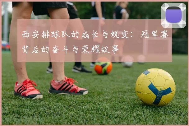 西安排球队的成长与蜕变：冠军赛背后的奋斗与荣耀故事