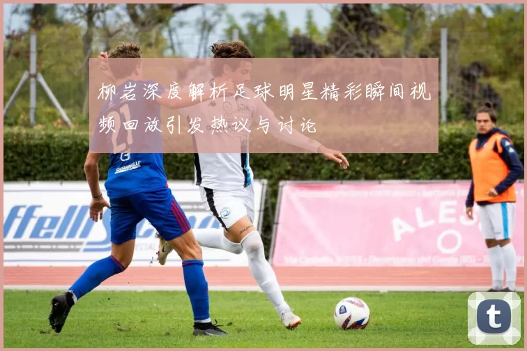 柳岩深度解析足球明星精彩瞬间视频回放引发热议与讨论