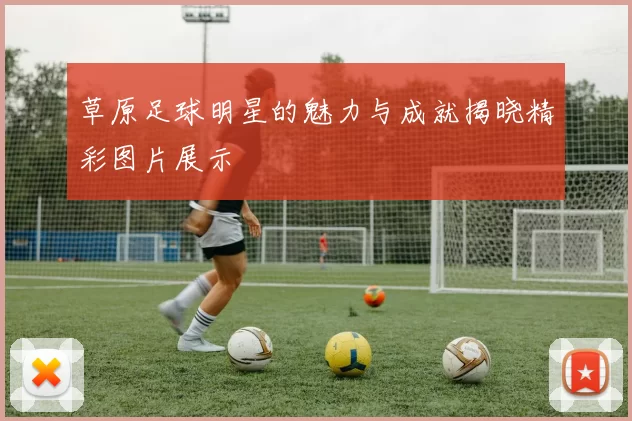 草原足球明星的魅力与成就揭晓精彩图片展示