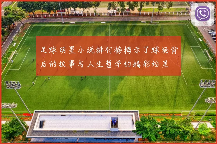 足球明星小说排行榜揭示了球场背后的故事与人生哲学的精彩纷呈