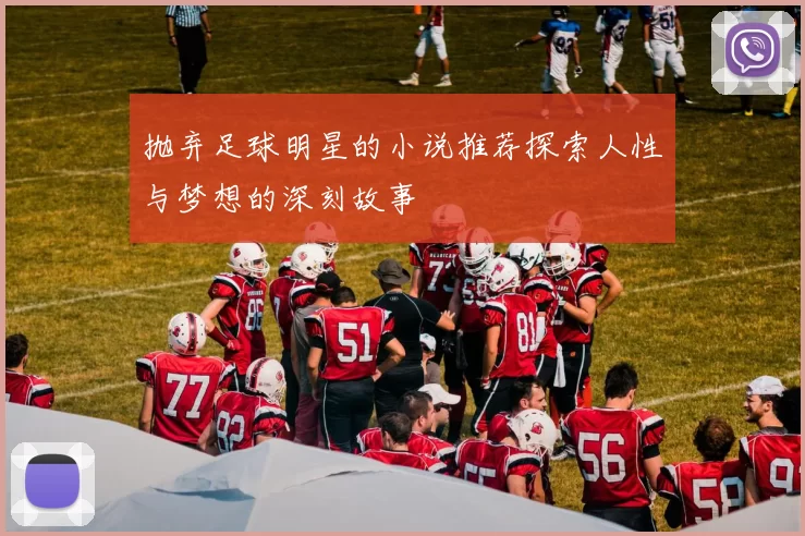 抛弃足球明星的小说推荐探索人性与梦想的深刻故事