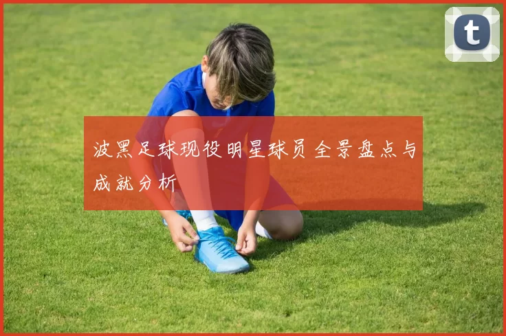 波黑足球现役明星球员全景盘点与成就分析