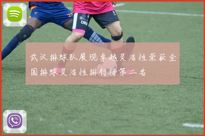 武汉排球队展现卓越灵活性荣获全国排球灵活性排行榜第二名