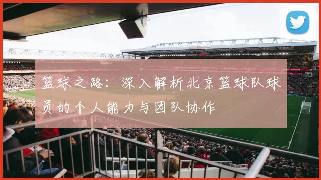 篮球之路：深入解析北京篮球队球员的个人能力与团队协作