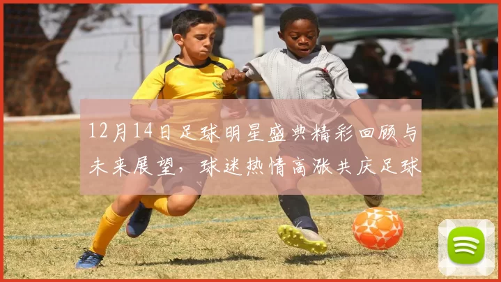 12月14日足球明星盛典精彩回顾与未来展望，球迷热情高涨共庆足球盛事