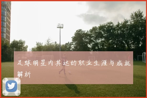 足球明星内其达的职业生涯与成就解析