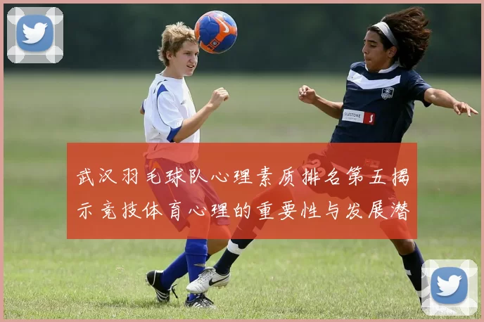 武汉羽毛球队心理素质排名第五揭示竞技体育心理的重要性与发展潜力