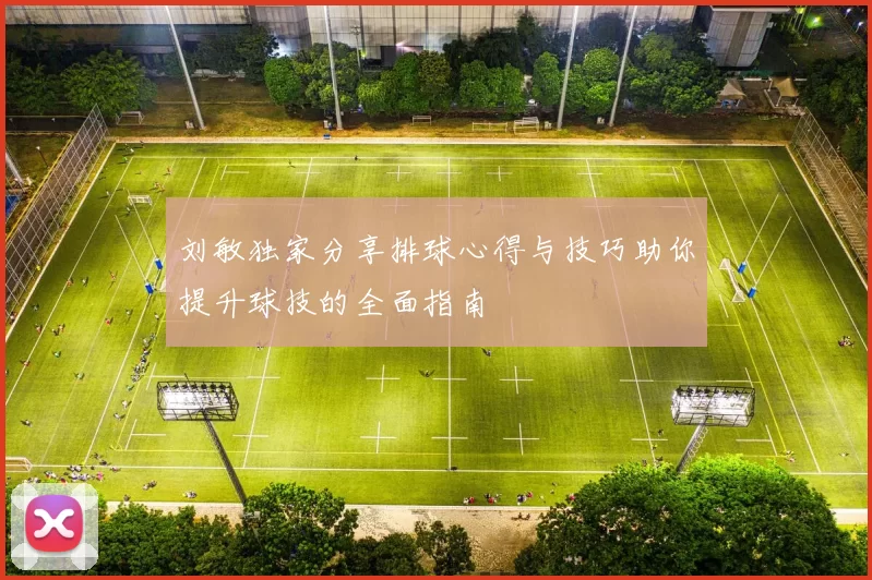 刘敏独家分享排球心得与技巧助你提升球技的全面指南