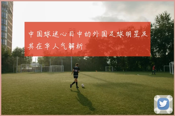 中国球迷心目中的外国足球明星及其在华人气解析
