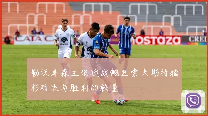 勒沃库森主场迎战鲍里索夫期待精彩对决与胜利的较量